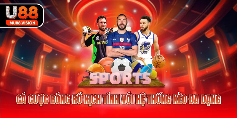 ca cuoc bong ro kich tinh voi he thong keo da dang Cá cược bóng rổ kịch tính với hệ thống kèo đa dạng