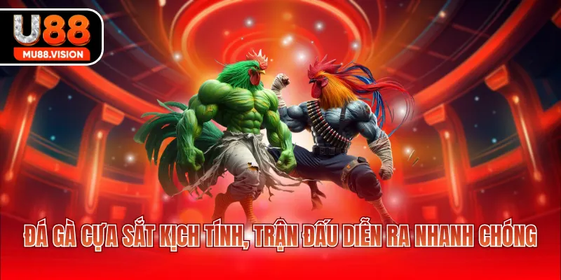 da ga cua sat kich tinh tran dau dien ra nhanh chong Đá gà cựa sắt kịch tính, trận đấu diễn ra nhanh chóng