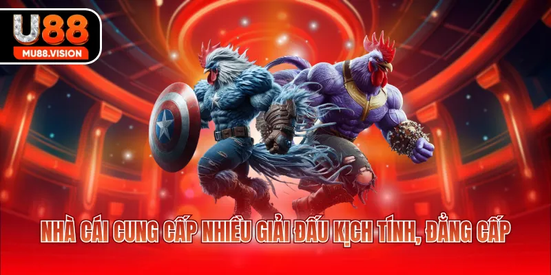 nha cai cung cap nhieu giai dau kich tinh dang cap Nhà cái cung cấp nhiều giải đấu kịch tính, đẳng cấp